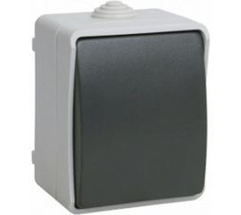 1-клавишный выключатель IEK ОП Форс 10А 250В IP54 BC20-1-0-ФСр ИЭК EVS10-K03-10-54-DC 