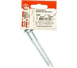 Сантехнический болт DIN 571 оцинкованный 6х80, 2шт - пакет Tech-Krep 102584 