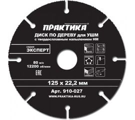 Диск по дереву (с твердосплавным зерном, 125х22 мм, для УШМ) ПРАКТИКА 910-027 