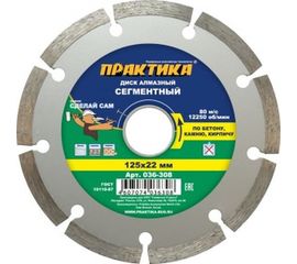 Диск алмазный сегментный (125х22.2 мм) ПРАКТИКА 036-308 