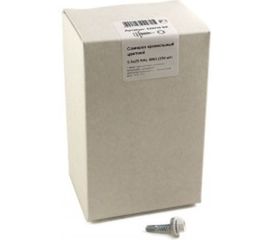 Кровельный саморез, белый Крепежная техника 5.5х25 RAL 9003 250шт 420210 БК 