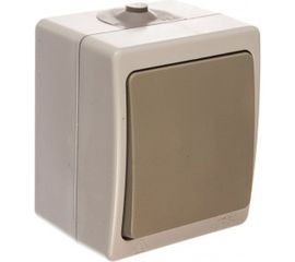 Одноклавишный выключатель TDM открытой установки 10А Вуокса SQ1803-0001 