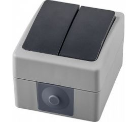 Двухклавишный выключатель STEKKER открытая установка, однополюсный для двух цепей, с общим вводом 32753 