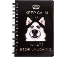 Блокнот BRAUBERG 93 х135 мм, А6, 50л, склейка, 3D обложка, безлиновки, Стиль, 128093 