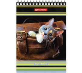 Блокнот BRAUBERG 105 х150 мм, А6, 80л, гребень, тверд. картон, клетка, Котята, 129839 