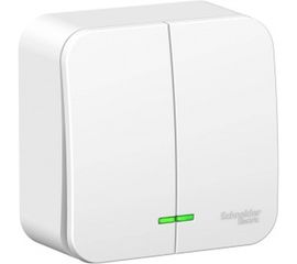 2-клавишный выключатель с подсветкой Schneider Electric BLANCA, О/У, 6А, 250B, белый BLNVA065111 