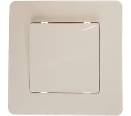 1-клавишный выключатель Schneider Electric BLANCA 10А, 250B, МОЛОЧНЫЙ BLNVS010102 