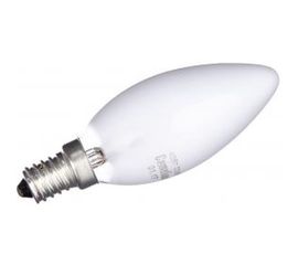 Электрическая лампа накаливания с матовой колбой MIC Camelion 40/B/FR/E14, 9864 