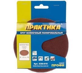 Круг войлочный (125 мм; Velcro) ПРАКТИКА 038-616 