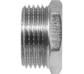 Заглушка в трубу (пробка) 1" н MPF NS, MP-У ИС.072279 