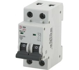 Автоматический выключатель ЭРА NO-900-95 ВА47-29 2P 32А кривая B Б0031790 