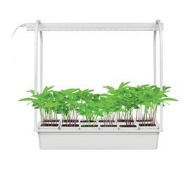 Светильник Uniel ULT-P34-10W/SPLE IP40 WHITE 12 Набор «Минисад», для растений UL-00004998 