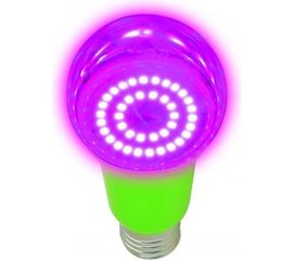 Светодиодная лампа для растений Uniel LED-A60-15W/SPSB/E27/CL PLP30GR UL-00004582 