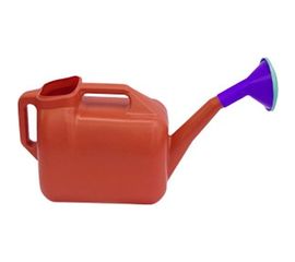 Лейка 10л с рассеивателем Радиан 4607168310161 