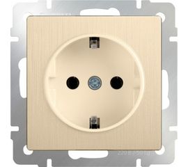 Розетка WERKEL WL10-SKGS-01-IP44 с заземлением и шторками шампань рифленый a035620 