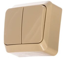 Двухклавишный выключатель Schneider Electric ОП Этюд 10А IP20 кремовый BA10-002K 