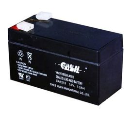 Аккумуляторная батарея CASIL CA1213 10601020 