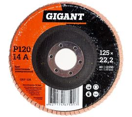 Круг лепестковый торцевой (125x22.2 мм; P120) Gigant GRF-120 