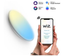 Светодиодный стационарный накладной светильник Gauss, Smart Home тип CCT+DIM 2060112 