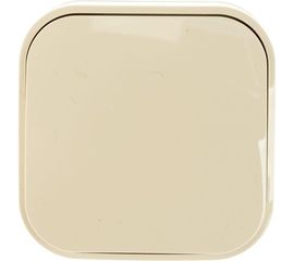 Одноклавишный выключатель IONICH слоновая кость 1423 