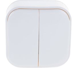 Двухклавишный выключатель IONICH о/у, 10А, 220В, белый еврослот 1413 