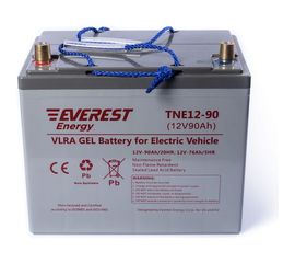 Тяговая аккумуляторная батарея EVEREST Energy TNE 12-90 