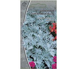 Семена Ваше хозяйство Цинерария Серебряная пыль 0.2 г 4610008774856 