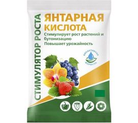 Янтарная кислота БиоМастер 4 г УП000002184 
