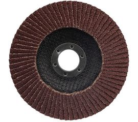 Круг лепестковый торцевой (P40; 125х22.2 мм) REXANT 90-0012 