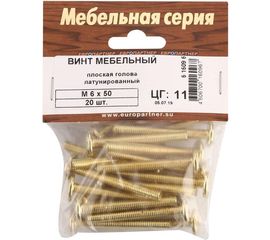 Мебельный винт с плоской головкой ЕВРОПАРТНЕР латунир. М6х50 20шт. 6 1609 6 