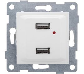 Розетка USB GUSI ELECTRIC Ugra двойная, СУ, белая С11USB2-001 