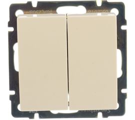 Выключатель Smartbuy 2-клавишный 10А бежевый Нептун SBE-05i-10-SW2-0 