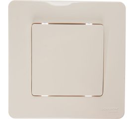 1-клавишный переключатель Schneider Electric BLANCA 10А, 250B, МОЛОЧНЫЙ BLNVS010602 