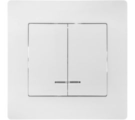 Двухклавишный выключатель GUSI ELECTRIC Bravo с индикатором, СУ, 10А, 250В, белый С10В28-001-СБ 