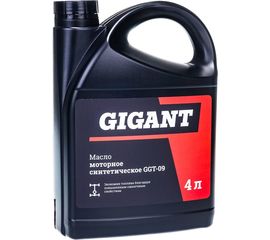 Моторное масло Gigant синтетическое, 4л GGT-09 