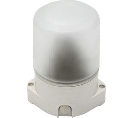 Светильник SVET НББ 01-60-001 IP65 белый SV0111-0001 