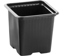 Горшочек для рассады Россия 90х90х95 мм полистирол 5 шт. 64340 