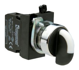 Переключатель Emas серия C, 0-1, с фиксацией, 1НО, металлическое основание, 250 В AC, 4 А CM100S20 