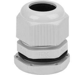 Сальник IEK PG21 YSA20-18-21-54-K41 