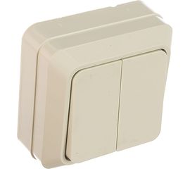 Двухклавишный выключатель TDM открытой установки, белый Ладога SQ1801-0003 