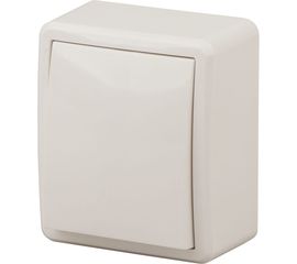 Выключатель с подсветкой ЭРА 11-1202-02 10АХ-250В, IP20, ОУ, Эксперт, сл.кость Б0020658 