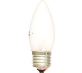 Электрическая лампа накаливания с матовой колбой MIC Camelion 40/B/FR/E27, 9865 