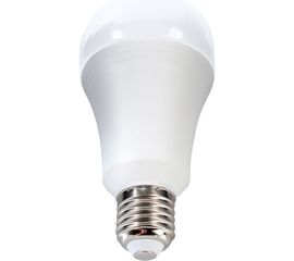 Светодиодная лампа Ergolux LED-A70-35W-E27-6K ЛОН, 35Вт, E27, 6500K, 180-240В 14232 