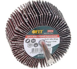 Диск лепестковый радиальный для дрели (60х30 мм; P80) FIT IT 39574 
