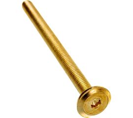 Мебельный винт ЕВРОПАРТНЕР с пл. гол. латунир. М6х80, 16 шт. 6 1803 2 