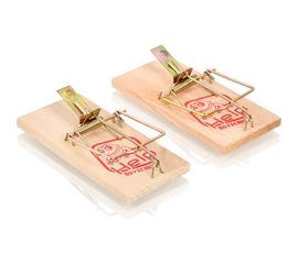 Мышеловка (дерево) 10х5х0,6 см 2 шт HELP 80265 