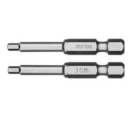 Биты торсионные кованые, обточенные (HEX3; 50 мм; 2 шт.) KRAFTOOL 26127-3-50-2 