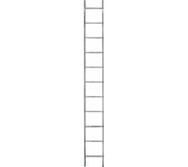Односекционная лестница Gigant L-01 1х11 (Россия) 