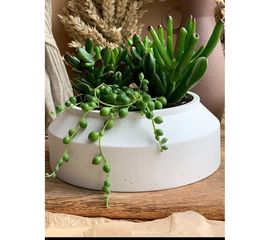 Кашпо для цветов VILLERMO БИДОН BIG G_052 