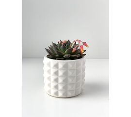 Кашпо для цветов VILLERMO КОЛЮЧКА MINI G_020 